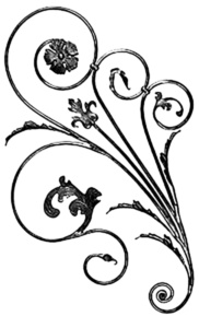 C3S-12083-image