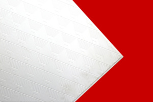 C3S-16001-image