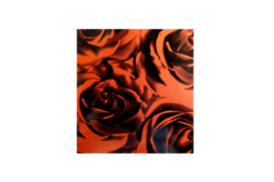 C3S-20390-image