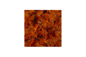 C3S-20406-image