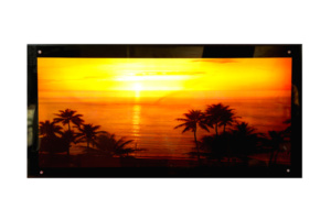 C3S-40135-image
