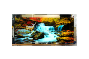 C3S-40137-image