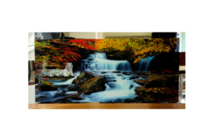 C3S-40138-image